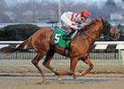 Nerud 3-Year-Old Wins Again at Big A Nerud 3-Year-Old Wins Again at Big A