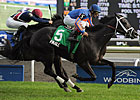 Finale Takes Wide Trip to Summer Stakes Win Finale Takes Wide Trip to Summer Stakes Win