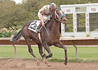 Finger Lakes Believes Stakes Cuts Temporary