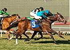 Finnegans Wake Prevails in Hollywood Turf Cup Finnegans Wake Prevails in Hollywood Turf Cup