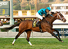 Finnegans Wake Shakes Up San Gabriel Stakes Finnegans Wake Shakes Up San Gabriel Stakes