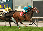 Finnegans Wake Victorious Again in San Marcos Finnegans Wake Victorious Again in San Marcos