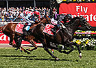 Fiorente Wins Melbourne Cup Over Red Cadeaux Fiorente Wins Melbourne Cup Over Red Cadeaux