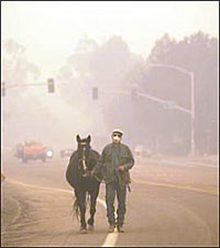Facilities Take in Horses as California Wildfires Rage Facilities Take in Horses as California Wildfires Rage
