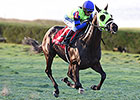 Firespike, Quality Rocks Top OBS Stakes Firespike, Quality Rocks Top OBS Stakes