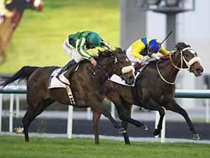 First City Scores Upset in Cape Verde Stakes First City Scores Upset in Cape Verde Stakes