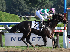 First Defence to Stand at Juddmonte First Defence to Stand at Juddmonte