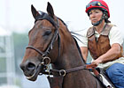 Preakness Doings: Me and Julio... Preakness Doings: Me and Julio...