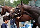 Travers: The Ultimate Head-Scratcher