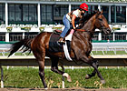 Breeders' Cup Chat: Haskell Weekend Picks