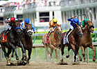 First Dude Wins Alysheba by a Slim Nose