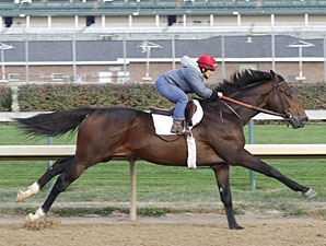 Sunshine Millions Classic All-Florida Affair Sunshine Millions Classic All-Florida Affair