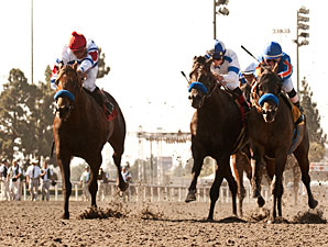 Baffert's 'Dudes' Abide in 1-2 Gold Cup Show Baffert's 'Dudes' Abide in 1-2 Gold Cup Show