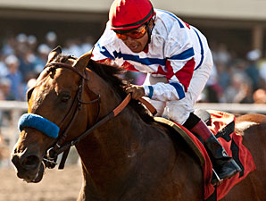 Grade I Winner First Dude Retired Grade I Winner First Dude Retired