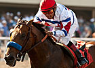 Grade I Winner First Dude Retired Grade I Winner First Dude Retired