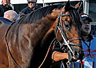 First Dude, 'Charly' in Final Belmont Works