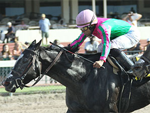 Wolfson Enters Four in Princess Rooney