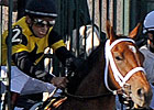 Oaks: Fitz Just Right Out With Ankle Chip