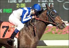 First-Time Apprentice's Wild Ride Ends in Win First-Time Apprentice's Wild Ride Ends in Win
