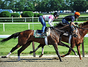 Final Workout Plans for Belmont Contenders Final Workout Plans for Belmont Contenders