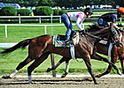 Final Workout Plans for Belmont Contenders