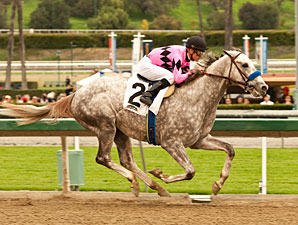 Flashback, Goldencents to Clash in San Felipe Flashback, Goldencents to Clash in San Felipe