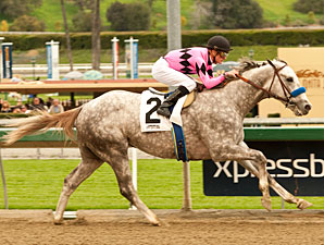 Flashback, Orb Work for Final Derby Preps Flashback, Orb Work for Final Derby Preps