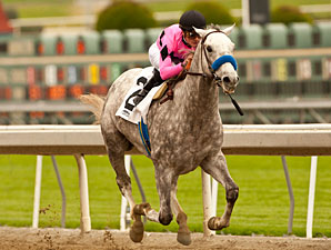 Gomez On Flashback in Santa Anita Derby Gomez On Flashback in Santa Anita Derby