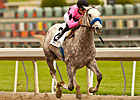 Gomez On Flashback in Santa Anita Derby