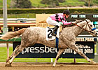 Full Field to Meet Flashback in Malibu Full Field to Meet Flashback in Malibu