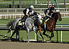 Bullet Workouts for Verrazano, Flashback Bullet Workouts for Verrazano, Flashback