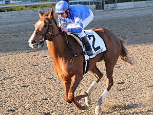 Flashing Shows Her Heels in Sharp Gazelle Win Flashing Shows Her Heels in Sharp Gazelle Win