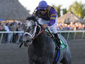 Flashpoint Lights Up Hutcheson Stakes Flashpoint Lights Up Hutcheson Stakes