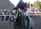 Florida Derby or Swale for Flashpoint?