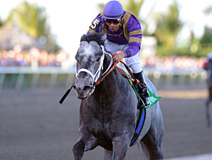Grade II-Winning Sprinter Flashpoint Retired Grade II-Winning Sprinter Flashpoint Retired
