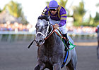 Grade II-Winning Sprinter Flashpoint Retired