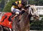 With Invasor Out, the Whitney's Anyone's Race