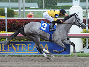 Flashy Gray Makes Stakes Debut in Honeybee Flashy Gray Makes Stakes Debut in Honeybee