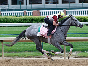 Flashy Gray Scratched from Kentucky Oaks Flashy Gray Scratched from Kentucky Oaks