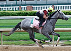 Flashy Gray Scratched from Kentucky Oaks