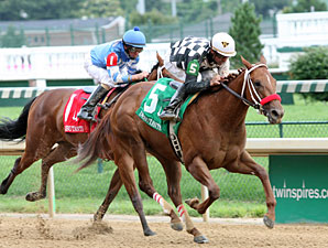 Flashy Speed from Flashy Bull's Runners Flashy Speed from Flashy Bull's Runners