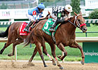 Flashy Speed from Flashy Bull's Runners Flashy Speed from Flashy Bull's Runners