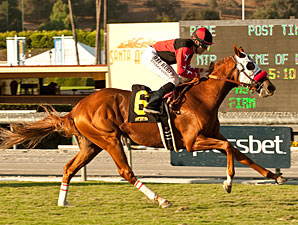 Breeders' Cup Likely for Gervinho, Flashy Way Breeders' Cup Likely for Gervinho, Flashy Way
