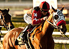 Flashy Ways Seeks Rebound in Miesque Stakes