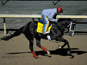 Flat Out Will Run in Clark Handicap Flat Out Will Run in Clark Handicap