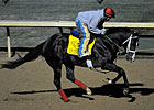 Flat Out Will Run in Clark Handicap