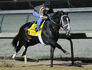 Flat Out Impresses in Oct. 30 Morning Workout Flat Out Impresses in Oct. 30 Morning Workout