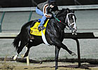 Flat Out Impresses in Oct. 30 Morning Workout