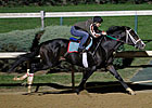 Flat Out Works 5 Furlongs at Churchill