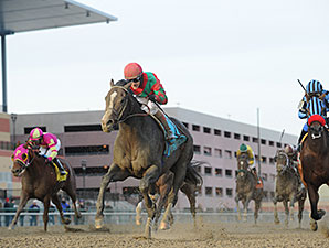 Old Pro Flat Out Powers Home in Cigar Mile Old Pro Flat Out Powers Home in Cigar Mile